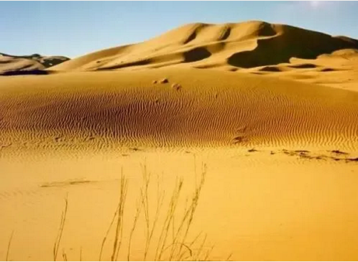 湖北威廉希尔williamhill绿色能源有限公司