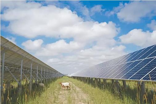 最新证据：：光伏电站使用寿命远超25年！！！