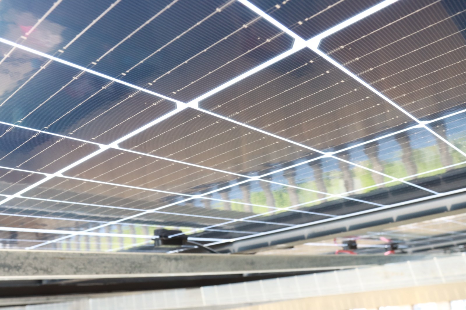 湖北威廉希尔williamhill绿色能源有限公司