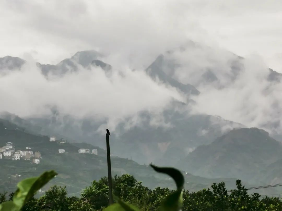 湖北威廉希尔williamhill绿色能源有限公司